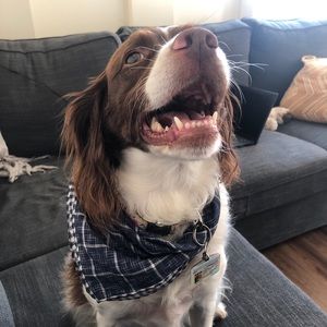 Meet your Posher, Robyn